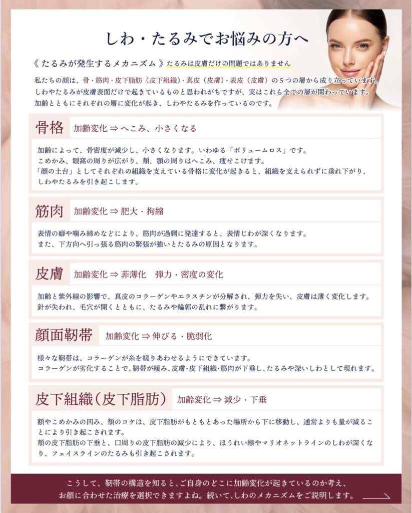 たるみ解説